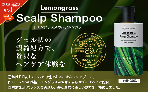 【福袋】泡・ソープセット（４種）BF-13-FB｜ボディソープ スキンケア ソープ シャンプー トリートメント ヘアケア 福袋 セット ボタニカノン BOTANICANON ケミカルフリー 鹿児島県 南大隅町 ボタニカルファクトリー