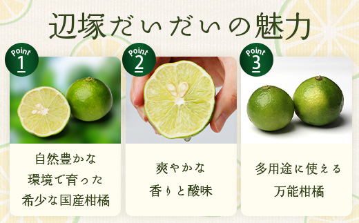 辺塚だいだい 約4kg NK-2|果物 柑橘 辺塚だいだい へつか 産地直送 詰め合わせ 4kg 国産 新鮮 おすすめ 人気 南大隅町