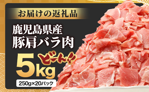 鹿児島県産 豚肩バラ切り落とし 計5kg HK-32 鹿児島県 南大隅町 国産豚 250g×20パック 豚肉切り落とし 豚バラ肉 小分け 豚キムチ 炒め物 焼肉 こま切れ 切り落とし 細切れ 小間切れ 薄切り スライス お肉 肉 豚肉 冷凍