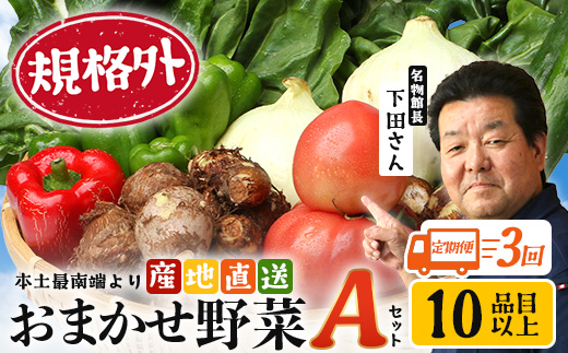 【定期便全3回】【規格外】本土最南端から 旬のおまかせ野菜セットA 10品目以上 NI-4 ｜ 旬 野菜 やさい 果物 くだもの 産地直送 農産物 冷蔵 鹿児島県 南大隅町産 詰合せ おまかせ 家庭用 訳あり なんたん市場
