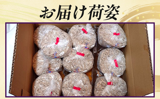 手打ち式そば(スープ付き)10食 MT-512 | そば 蕎麦 ソバ おそば お蕎麦 麺 年越し蕎麦 手打ち 本格 国産 スープ ストレートつゆ ざるそば かけぞば めんつゆ付き やまいも 簡単調理 喉ごし 老舗 鹿児島県 南大隅町 松元食品