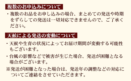 【2026年・先行予約】贈答用パッションフルーツ1kg （約11個） 濱田農園 HB-706 ｜先行予約 産地直送 新鮮 パッション フルーツ 南大隅町 果物 果実 ギフト プレゼント濱田農園 贈答用 人気 南国フルーツ 鹿児島県 南大隅町 hello! brand new days 