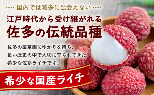 【今が旬！数量限定】本土最南端よりお届け！希少生ライチ（約400g）TE-1｜国産 果物 ライチ らいち 生 枝付き 栽培期間中 無農薬 ぷりぷり ジューシー 産地直送 限定 鹿児島県 南大隅町 有限会社ティエラ
