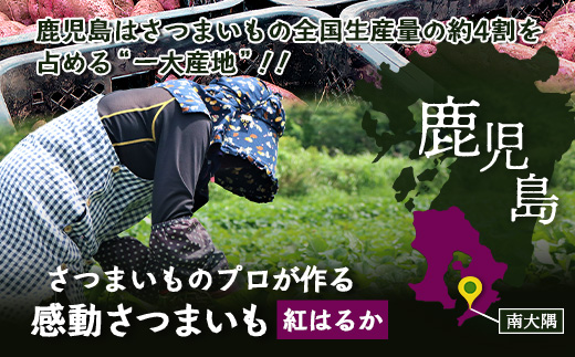 【先行予約：11月下旬配送～】熟成 さつまいも 紅はるか 3kg Lサイズ (美味しい焼き芋の焼き方 説明書付き） FR-531 ｜ 秋の味覚 2026年秋収穫 貯蔵 長期熟成 糖化 さつまいも サツマイモ 感動サツマイモ 焼き芋 べにはるか 大きめ 野菜 ねっとり 濃厚 おやつ おかず お弁当 煮物 芋ごはん 味噌汁 産地直送 鹿児島県 南大隅町 株式会社フォレスト