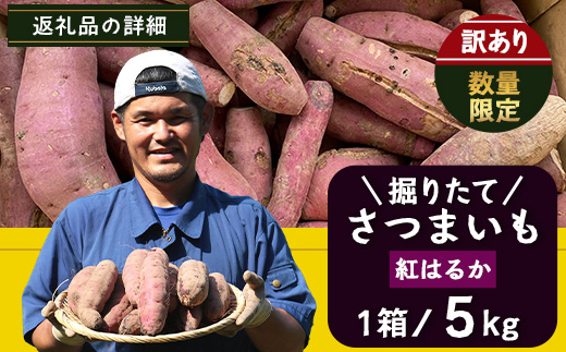 [訳あり！]先行予約【2025年9月中旬より順次発送】訳あり さつまいも 紅はるか 堀りたて5kg ( 1箱 ) 新物（AX72207）