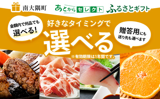 あとからセレクト【ふるさとギフト】10万円分 MN-20 │ 100000 鹿児島県 南大隅町 あとから選べる 返礼品 特産品 プラン 選べる返礼品 あとから選べる ギフト ギフトポイント 後から選ぶ カタログギフト