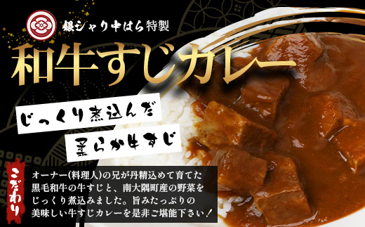 ［4種類］＼日本料理人の手作り／ 鹿児島県産 黒毛和牛レトルトパック 4種セット ≪合計8パック≫ GN-6｜鹿児島県 南大隅町 あたためるだけ 黒毛和牛 牛すじ 牛肉 カレー ビーフシチュー ミートソース おかず 時短 銀シャリ中はら