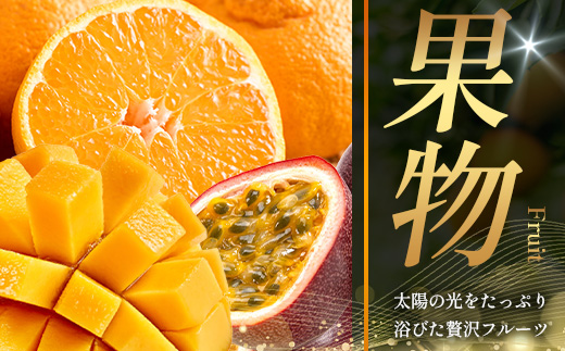 あとからセレクト【ふるさとギフト】3万円分 MN-18 │30000 鹿児島県 南大隅町 あとから選べる 返礼品 特産品 プラン 選べる返礼品 あとから選べる ギフト ギフトポイント 後から選ぶ カタログギフト