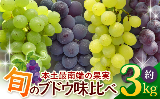 【期間限定!数量限定!】2026年7月下旬発送 旬のブドウ味くらべ約3kg (6～7房) TE710｜産地直送 旬 ブドウ 葡萄 ぶどう フルーツ 果物 くだもの 果実 食べ比べ 鹿児島県 南大隅町 有限会社ティエラ　