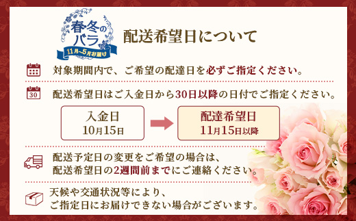 ※先行予約※【日付指定必須・ギフト対応可】ばら農家直送！人気の春・冬薔薇をお届け♪ バラ花束30本以上(色はおまかせ) TB-16 │ ローズ 新鮮 花 フラワー 花束 ばら 薔薇 バラ 誕生日 記念日 結婚祝い ギフト プレゼント お祝い 贈り物 贈答 鹿児島県 南大隅町 富田バラ園