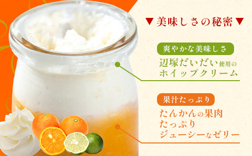 【2026年3月中旬から発送】だいたんな！ときめくゼリー & バウムセット（ だいたんなゼリー６個 ＋ ≪ 極 ≫ たんかんバウム ）SH-8 | 辺塚だいだい タンカン たんかん 果肉 ゼリー クリーム スイーツ フルーツ プリン バームクーヘン バウムクーヘン スイーツ ケーキ 焼き菓子 洋菓子 手作り おしゃれ オリジナル ギフトボックス プレゼント 鹿児島県 南大隅町 31℃LINE花子 