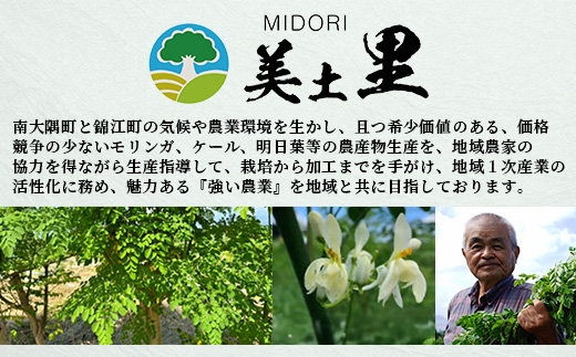 佐多岬 モリンガ茶 茶葉 240g ( 80g×3袋 )
