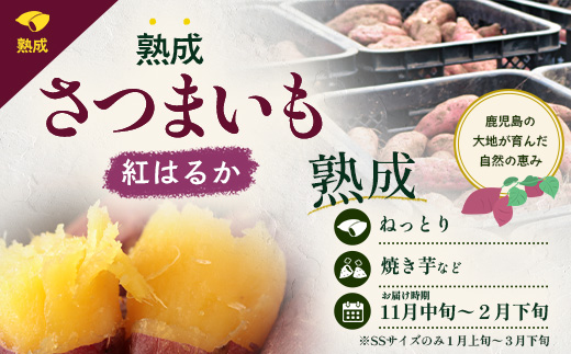 【先行予約：11月下旬配送～】熟成 さつまいも 紅はるか 3kg Lサイズ (美味しい焼き芋の焼き方 説明書付き） FR-531 ｜ 秋の味覚 2026年秋収穫 貯蔵 長期熟成 糖化 さつまいも サツマイモ 感動サツマイモ 焼き芋 べにはるか 大きめ 野菜 ねっとり 濃厚 おやつ おかず お弁当 煮物 芋ごはん 味噌汁 産地直送 鹿児島県 南大隅町 株式会社フォレスト