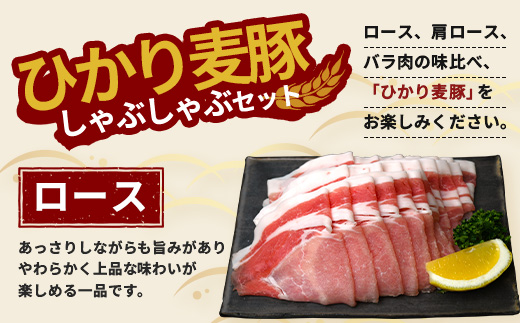 鹿児島県産 ひかり麦豚 しゃぶしゃぶ 焼肉 セット 300g×3パック 計900g ＋ 楽塩の粗びき塩こしょう | 肉 お肉 にく 豚肉 黒豚 かごしま黒豚 ロース 肩ロース バラ肉 スライス 粗挽き 塩コショウ 冷凍 真空冷凍 産地直送 新鮮 小分け 甘み 鹿児島県 南大隅町 ひかり麦豚直売所 HM-704