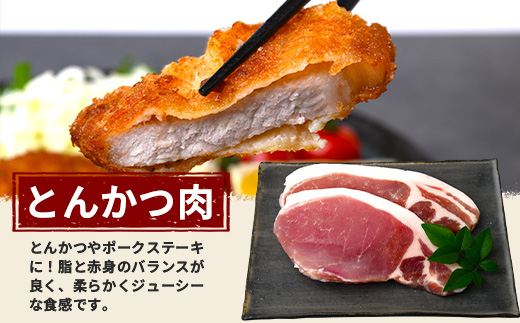 ひかり麦豚　しゃぶしゃぶ 食べ比べ + とんかつ肉 ＋ ハンバーグ セット