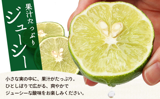 辺塚だいだい 約10kg NK-3|果物 柑橘 辺塚だいだい へつか 産地直送 詰め合わせ 10kg 国産 新鮮 おすすめ 人気 南大隅町