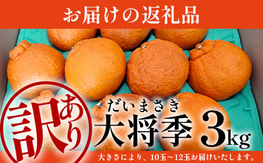 【数量限定】【今が旬！訳あり！】大将季　約3㎏（10玉～12玉） MS-2｜数量限定 柑橘 みかん ミカン 蜜柑 果物 生果 旬 フルーツ くだもの 国産 産地直送 家庭用 佐多岬