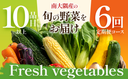 【定期便全6回】いろどり新鮮お野菜セット 10品目以上 NI-5 ｜ 旬 野菜 やさい 果物 くだもの 産地直送 農産物 冷蔵 鹿児島県 南大隅町産 詰合せ おまかせ 家庭用 なんたん市場