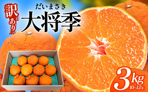 【数量限定】【今が旬！訳あり！】大将季　約3㎏（10玉～12玉） MS-2｜数量限定 柑橘 みかん ミカン 蜜柑 果物 生果 旬 フルーツ くだもの 国産 産地直送 家庭用 佐多岬