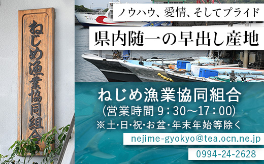 【ねじめ黄金カンパチ】ロイン2本