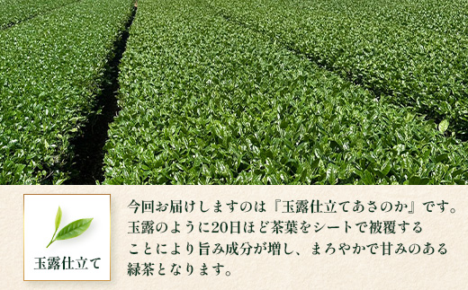 【先行予約】【2026年摘みたて！】新茶 ナナ茶 玉露仕立て あさのか 80g×2パック RS-9｜お茶 茶 茶葉 お茶の葉 緑茶 高級緑茶 高級 日本茶 鹿児島茶 国産 おしゃれ ブレンド茶 シングルオリジン 被覆栽培 鹿児島県 南大隅町 株式会社Re-Shine