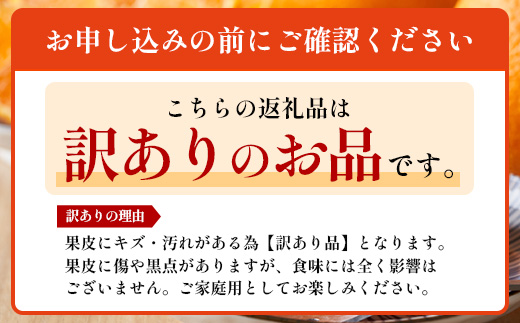 【数量限定】【今が旬！訳あり！】大将季　約3㎏（10玉～12玉） MS-2｜数量限定 柑橘 みかん ミカン 蜜柑 果物 生果 旬 フルーツ くだもの 国産 産地直送 家庭用 佐多岬