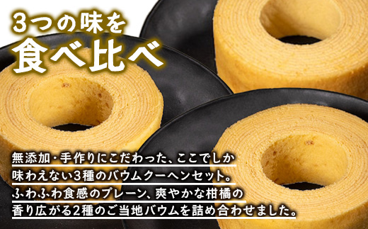 素材にこだわった南大隅町の手作りスイーツ　バウムクーヘン 3個セット ( プレーン ・ たんかん ・ 辺塚だいだい ）