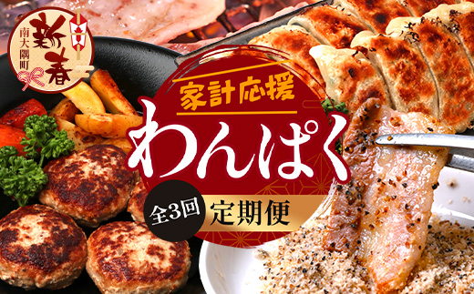 ［新春］【定期便全3回】ひかり麦豚 わんぱく定期便 ≪月替わりで焼肉・ハンバーグ・餃子をお届け！≫ 冷凍 HM-10 | 肉 お肉 にく 豚肉 焼き肉 ロース肉 肩ロース バラ肉 ハンバーグ ギョウザ ぎょうざ 真空冷凍 産地直送 小分け パック 手作り 鹿児島県 南大隅町 ひかり麦豚直売所