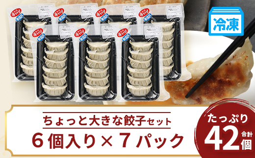 鹿児島県産 ひかり麦豚 ちょっと大きな 餃子 42個 セット | 肉 お肉 にく 豚肉 黒豚 かごしま黒豚 ミンチ 肉汁 ジューシー 食べ応え抜群 焼き餃子 水餃子 おかず お弁当 冷凍 パック 産地直送 鹿児島県 南大隅町 ひかり麦豚直売所 HM-707