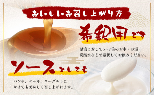 【先行予約・数量限定】日本料理人が作る シロップ 3種類 Bセット/辺塚だいだいシロップ・梅シロップ・生姜シロップ (各240ｇ×1瓶) GN-15｜鹿児島県 南大隅町 果物 うめ ショウガ しょうが フルーツ シロップ 希釈 甘み 酸味 甘さ控えめ お菓子づくり 手づくり 新鮮 旬  銀シャリ中はら