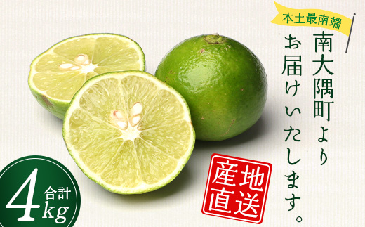 辺塚だいだい 約4kg NK-2|果物 柑橘 辺塚だいだい へつか 産地直送 詰め合わせ 4kg 国産 新鮮 おすすめ 人気 南大隅町