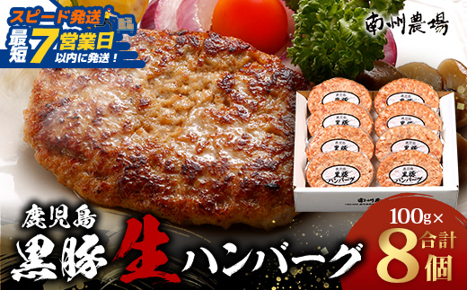 【スピード発送】鹿児島県産 黒豚生ハンバーグセット（8個入）冷凍 NS-12 ❘ 最短 7日以内 1週間以内 肉 お肉 豚肉 豚 にく ぶた かごしま黒豚 焼くだけ おかず お弁当 ジューシー 小分け ギフト おかず お弁当 国産 鹿児島県 南大隅町 南州農場