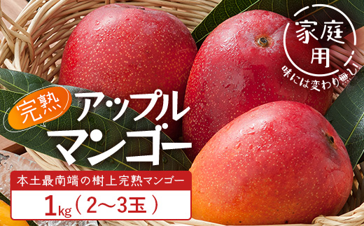 【先行予約】訳あり ☆本土最南端☆佐多の果樹園で育てた 完熟アップルマンゴー1kg (2〜3玉) 家庭用