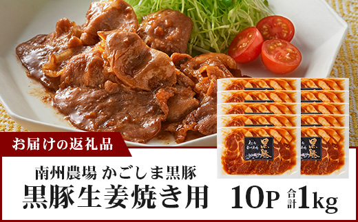 鹿児島県産 黒豚生姜焼きセット 約100g×10枚 味付き肉 冷凍 NS-23| 鹿児島 黒豚 かごしま黒豚 お肉 肉 豚肉 しょうが焼き 焼くだけ 味付き おかず お弁当 加工肉 真空パック 鹿児島県 南大隅町 南州農場