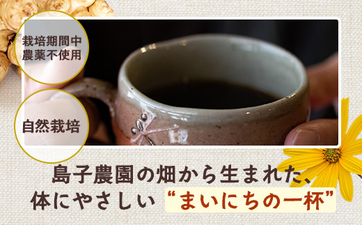 【定期便３カ月】菊芋コーヒー ふ～　白色菊芋（4g×12P）SK-9｜ コーヒー 菊芋 ティーパック ノンカフェイン 野菜茶 きくいも お茶 焙煎 ギフト グルメ お取り寄せ 鹿児島県 南大隅町 島子農園