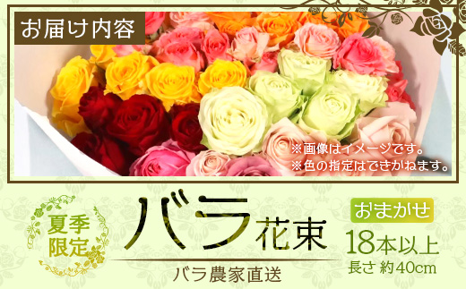 【先行予約・夏季限定 薔薇】ばら農家直送！バラ花束18本以上お届け(色はおまかせ)【ギフト対応可】│ローズ 新鮮 花 フラワー 花束 ばら 薔薇 バラ 誕生日 記念日 結婚祝い ギフト プレゼント お祝い 贈り物 贈答 鹿児島県 南大隅町 富田バラ園 TB-4