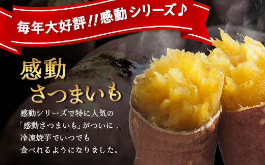 【冷凍焼芋】感動さつまいも　紅はるか　500g×5パック（AX7504）