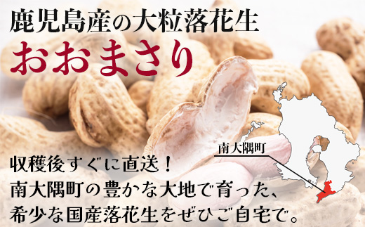 ≪数量限定≫鹿児島県産　食べ応え抜群の大粒落花生「おおまさり」５００g袋×２袋