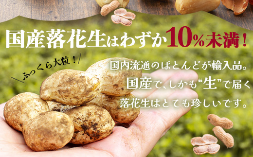 先行予約【2025年9月下旬より順次発送】国産 塩茹で落花生 300 g × 2 パック