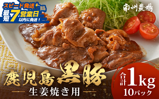 【スピード発送】鹿児島県産 黒豚生姜焼きセット（100g×10パック）味付き肉 冷凍 NS-23 | 最短 7日以内 1週間以内 鹿児島 黒豚 かごしま黒豚 お肉 肉 豚肉 しょうが焼き 焼くだけ 味付き おかず お弁当 加工肉 真空パック たっぷり 大容量 10枚 鹿児島県 南大隅町 南州農場