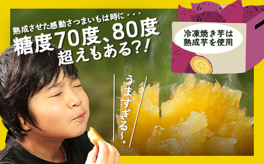 【冷凍焼芋】感動さつまいも　紅はるか　500g×5パック（AX7504）