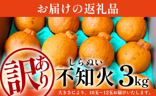 【数量限定・訳あり】しらぬい 約3㎏(10～12玉) MS-1｜不知火 柑橘 みかん ミカン 蜜柑 果物 生果 旬 フルーツ デコポン と同品種 国産 産地直送 家庭用 鹿児島県 南大隅町 