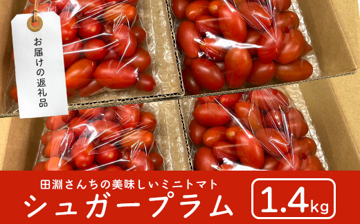 《期間限定》田淵さんちの美味しい ミニトマト シュガープラム（約1,400g）GP-2｜鹿児島県 南大隅 産地直送 旬 とまと トマト ミニトマト リコピン 完熟 甘い 高糖度 野菜 やさい 送料無料