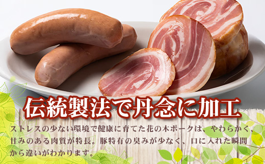 《全6回定期便》<2ヶ月に1回お届け> 花の木農場【ハム詰め合わせセット】7種 計1,000g HK-19│ハム ベーコン クラフトハム 人気 南大隅町 第2花の木ファーム ノウフク ソーセージ 詰め合わせ セット ウインナー 国産 厳選