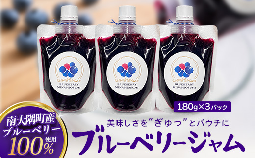 南大隅町産 ブルーベリージャム ≪180g×3パック≫ FW-1｜鹿児島県 南大隅町 ブルーベリー フルーツ ジャム パウチ 農園 本土最南端