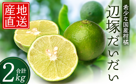 辺塚だいだい 約2kg NK-1|果物 柑橘 辺塚だいだい へつか 産地直送 詰め合わせ 2kg 国産 新鮮 おすすめ 人気 南大隅町