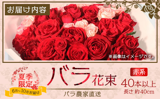【日付指定必須・ギフト対応可】 夏季限定 ばら農家直送！バラ花束40本以上お届け(赤系) TB-5│ローズ 新鮮 花 フラワー 花束 ばら 薔薇 バラ 誕生日 記念日 結婚祝い ギフト プレゼント お祝い 贈り物 贈答 鹿児島県 南大隅町 富田バラ園