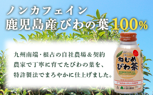 鹿児島県産 ねじめびわ茶 ボトル缶 2ケース 24本入り×2ケース ノンカフェイン TO-407 | 国産 お茶 健康茶 カロリーゼロ 缶 持ち運び 無香料 無着色 ポリフェノール さわやか 甘み 香ばしい おいしい びわの葉 産地直送 鹿児島県 南大隅町 十津川農場