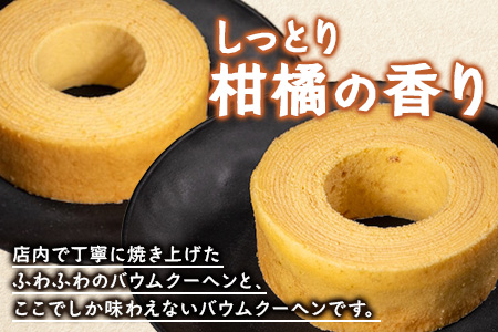 バウムクーヘン 2個セット ( プレーン ・ 辺塚だいだい)｜菓子 おかし スイーツ デザート バウムクーヘン 食品 人気 おすすめ 柑橘 SH-715