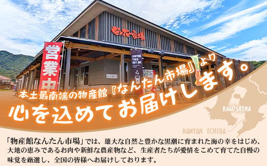よくばり新鮮お野菜セット 12品目以上 NI-6｜ 旬 野菜 やさい 果物 くだもの 産地直送 農産物 冷蔵 鹿児島県 南大隅町産 詰合せ おまかせ 家庭用 なんたん市場
